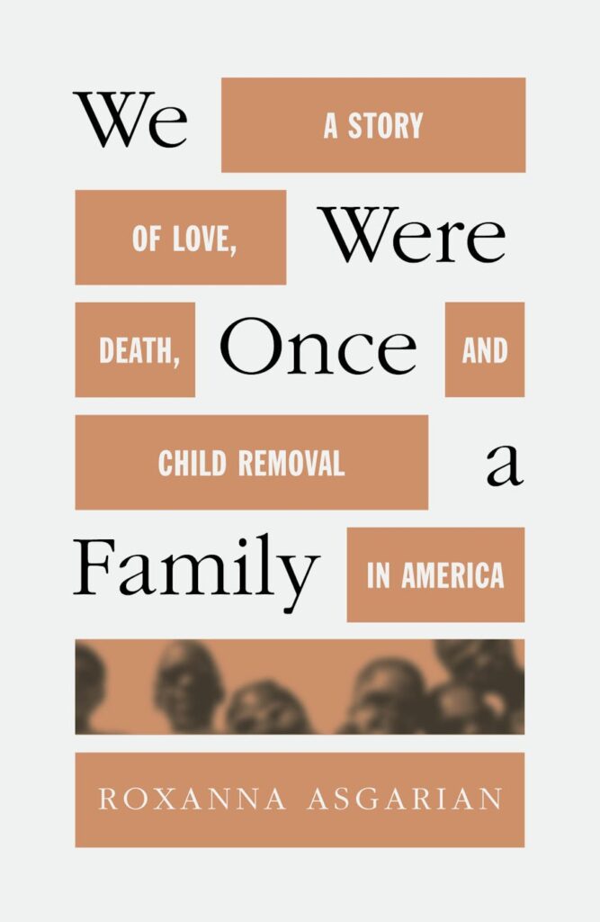 Book cover of We Were Once a Family by Roxanna Asgarian
