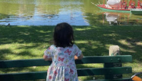 A small girl in a butterfly dress gazes out at a pond with swan boats